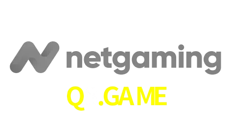 NetGaming
